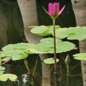 Meet your Posher, Ping